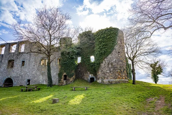 Ruines Hohentwil Ancien Château Touristique Historique Avec Végétation Verte Sur — Photo