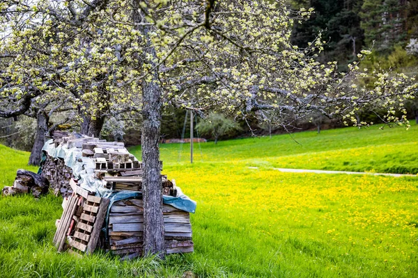 Una Gran Pila Leña Vieja Cuidadosamente Apilada Está Cubierta Papel — Foto de Stock