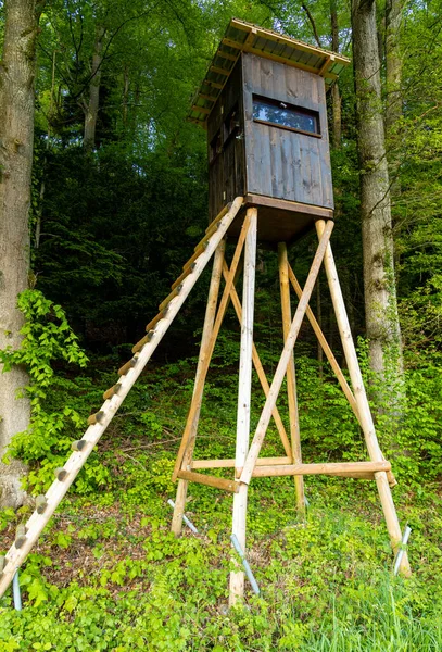 Una Torre Caza Madera Edad Alta Encuentra Borde Denso Bosque — Foto de Stock