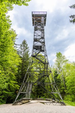 Vahşi orman hayvanları avlamak için uzun, eski bir av kulesi, açık mavi bulutlu gökyüzüne karşı, yaprak döken, yoğun bir vahşi ormandaki bir açıklıkta duruyor.