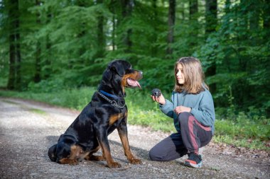 Şık eşofmanlı küçük bir genç kız, Rottweiler cinsinin sadık, iri, iri köpek arkadaşıyla sık yeşil ormandaki kirli orman yolunda top oyuncağıyla oynuyor.