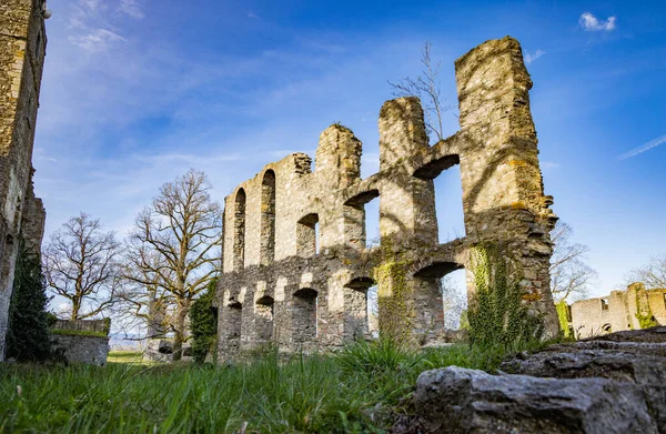 Ruines Hohentwil Ancien Château Touristique Historique Avec Végétation Verte Sur Image En Vente