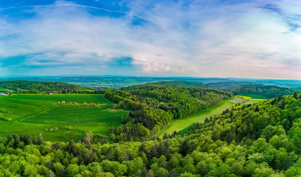 Panorama Vallei Met Groene Eindeloze Verse Weiden Akkerbouwgewassen Dichte Gemengde — Stockfoto