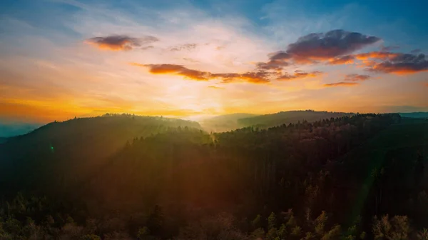 Панорама Густого Тёмного Дикого Леса Высоком Холме Холмистой Долине Фоне Лицензионные Стоковые Изображения