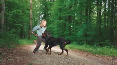 Neşeli küçük kız yeşil bahar yaprak döken ormanında özel bir köpek oyuncağıyla komik siyah Rottweiler köpeğiyle güneş ışığında çamurlu bir yolda oynuyor. 4k video yavaş çekim UHD