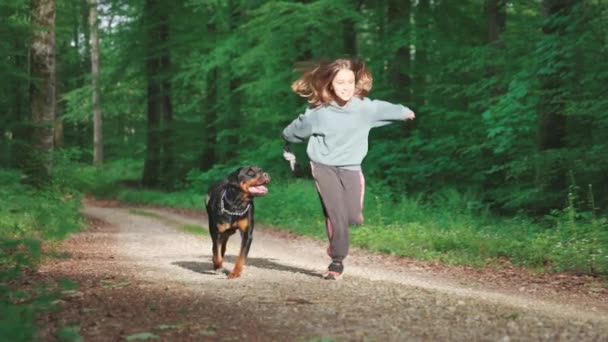 Gadis Kecil Yang Ceria Bermain Dengan Anjing Rottweiler Hitam Besar — Stok Video