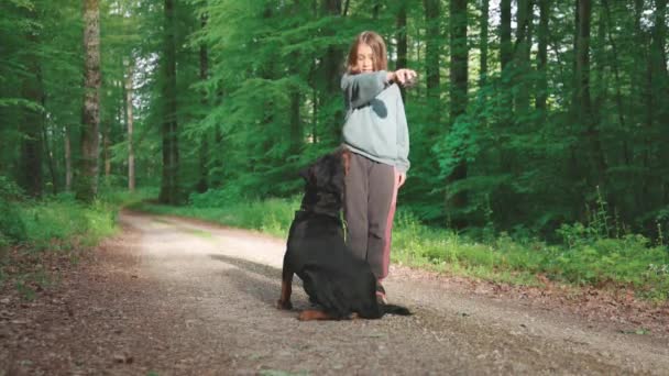 Nazik Küçük Bir Kız Rottweiler Cinsinin Büyük Itaatkar Siyah Köpeğini — Stok video
