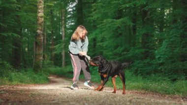 Neşeli küçük kız yeşil bahar yaprak döken ormanında özel bir köpek oyuncağıyla komik siyah Rottweiler köpeğiyle güneş ışığında çamurlu bir yolda oynuyor. 4k video yavaş çekim UHD
