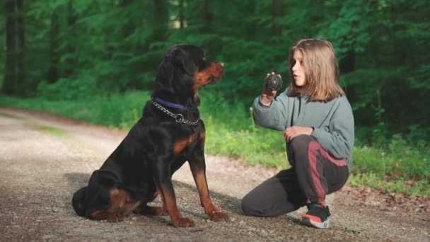 Kind Cheerful Little Girl Trains Her Big Obedient Black Dog — Stock Video