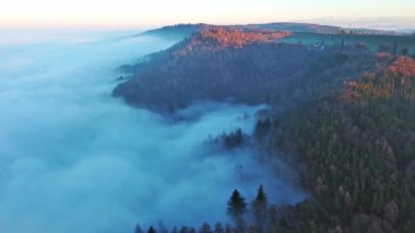 Yoğun koyu ladin ormanlarıyla kaplı yüksek dağ tepeleri ve açık mavi gökyüzüne karşı parlak güneşli akşam ışığında beyaz mistik sis. Video 4k UHD eş zamanlı