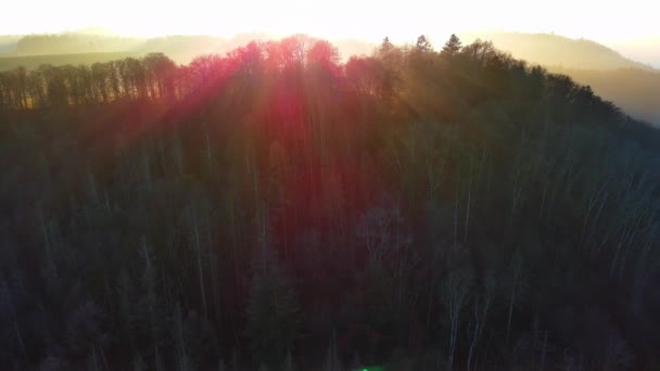 澄んだ空に輝く明るい夜の太陽を背景に 丘陵地の自然空の谷の鬱蒼とした野生の山の森の中に針葉樹の暗い背の高いシルエット ビデオ4K Uhdリアルタイム — ストック動画