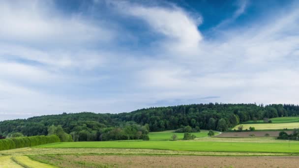 青い空の下 丘陵地帯の緑の谷にある穀物やさまざまな食用植物を持つ巨大な農場の畑 Uhdタイムラプス — ストック動画