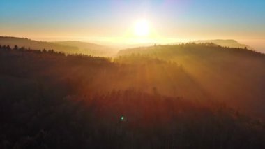 Yoğun, vahşi bir dağ ormanındaki kozalaklı ağaçların uzun gölgeleri, berrak bir gökyüzünde, kör edici, parlak bir akşam güneşinin arka planına karşı. Video 4k UHD eş zamanlı