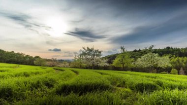 Gri bulutlu gökyüzünde parlayan parlak bir akşam beyaz meyve bahçeleri, çimenli çayırları ve karanlık yoğun ormanlarıyla tepelik geniş bir kırsal vadiyi aydınlatır. Video 4k UHD zaman ayarlı