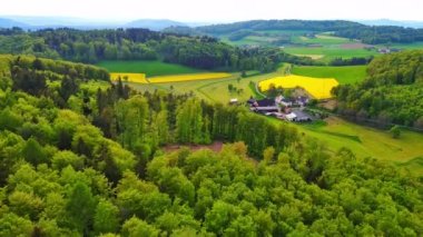 Yeşil tahıl tarlaları, kuru taze saman balyaları ve sık ormanlarla çevrili boş otlaklarla dolu yüksek bir tepede büyük bir çiftlik hayvanı üretim çiftliği bulunuyor. Video 4k UHD eş zamanlı