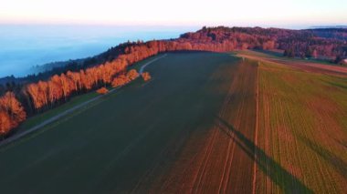 Sonbahar ladini, açık mavi bir gökyüzü ve akşam güneşinde beyaz yoğun sise karşı dolambaçlı asfalt bir otoyolu olan vahşi, yeşil, boş bir tepenin tepesinde. Video 4k UHD eş zamanlı