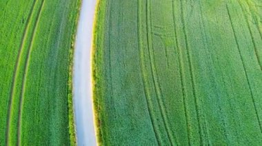 Dolambaçlı boş asfalt yol, zirai tahıl tarlalarında ve kırsal alanda çimenli yeşil çayırlarda güneşli akşam ışığında yoğun yaprak döken vahşi ormanın arka planına karşı uzanır. Video 4k UHD eş zamanlı