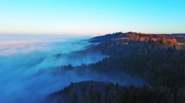 Yoğun koyu ladin ormanlarıyla kaplı yüksek dağ tepeleri ve açık mavi gökyüzüne karşı parlak güneşli akşam ışığında beyaz mistik sis. Video 4k UHD eş zamanlı