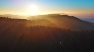 Yoğun, vahşi bir dağ ormanındaki kozalaklı ağaçların uzun gölgeleri, berrak bir gökyüzünde, kör edici, parlak bir akşam güneşinin arka planına karşı. Video 4k UHD eş zamanlı