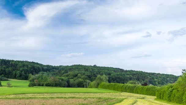 青い空の下 丘陵地帯の緑の谷にある穀物やさまざまな食用植物を持つ巨大な農場の畑 Uhdタイムラプス — ストック動画