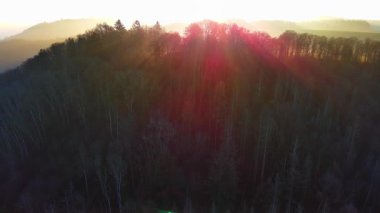 Yoğun, vahşi bir dağ ormanındaki kozalaklı ağaçların uzun gölgeleri, berrak bir gökyüzünde, kör edici, parlak bir akşam güneşinin arka planına karşı. Video 4k UHD eş zamanlı