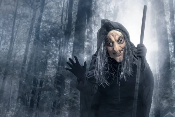 Old witch in a cloak with a stick standing in the forest with a dramatic background. Halloween concept