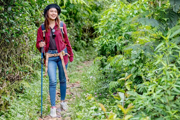 帽子とバックパックを被ったアジアの女性トレッキングポールが森の中の歩道を歩く — ストック写真