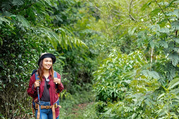 帽子とバックパックを被ったアジアの女性トレッキングポールが森の中の歩道を歩く — ストック写真