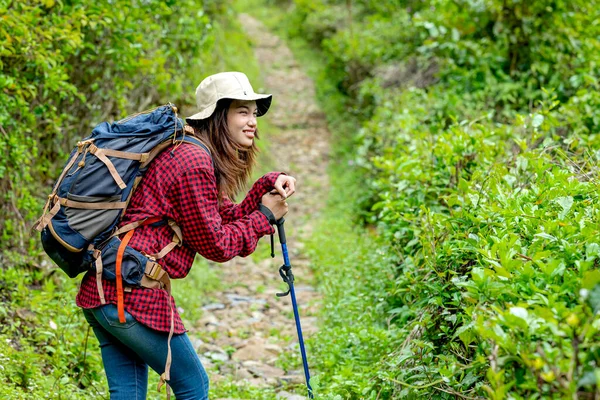 亚洲女人头戴帽子 背着背包 背着手杖 走在森林的小径上 疲惫不堪 — 图库照片