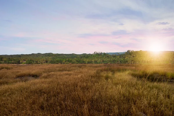 Лугове Поле Фоном Неба Заходу Сонця — стокове фото