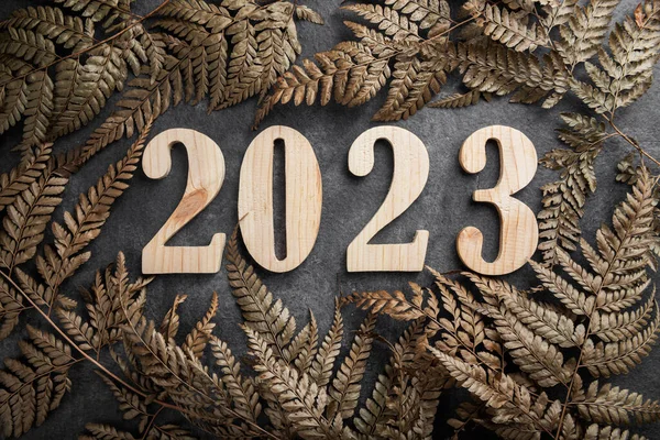 Siyah Bir Geçmişi Olan 2023 Mutlu Yıllar 2023 — Stok fotoğraf