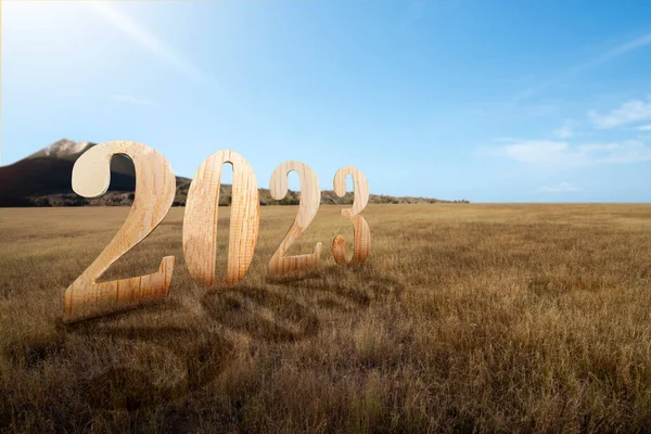 stock image 2023 on the meadow field. Happy New Year 2023