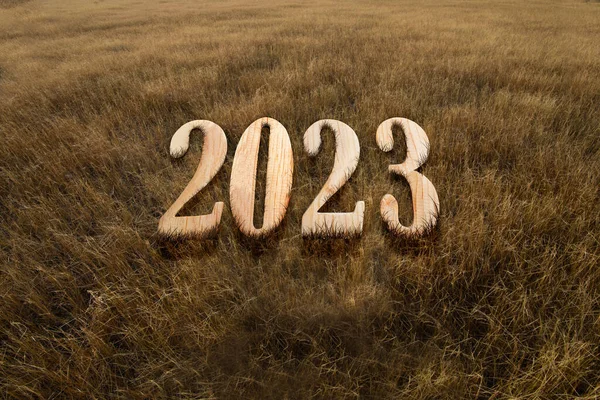 2023 Sur Champ Prairie Bonne Année 2023 — Photo