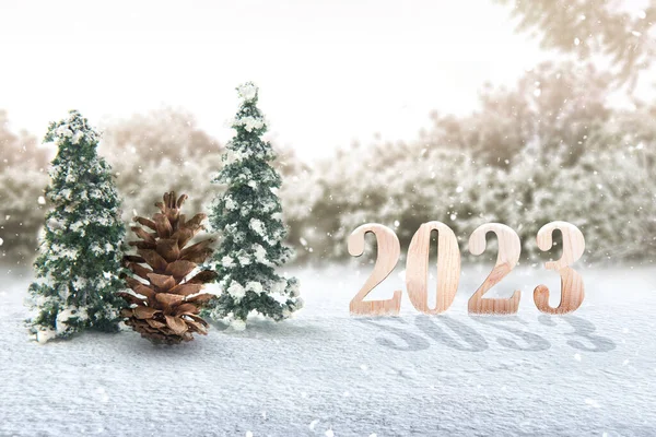 2023 Snöfältet Gott Nytt 2023 — Stockfoto