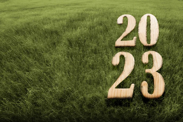 2023 Het Weiland Gelukkig Nieuwjaar 2023 — Stockfoto