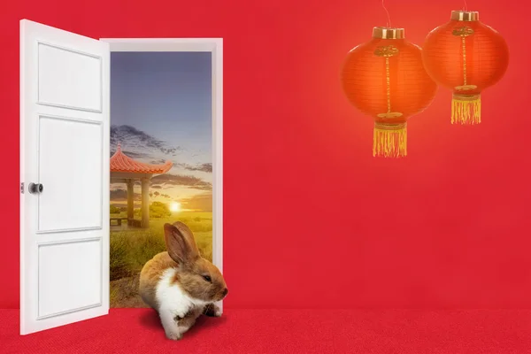 Кролики Идут Двери Китайским Фонариком Заднем Плане Китайским Новым Годом — стоковое фото