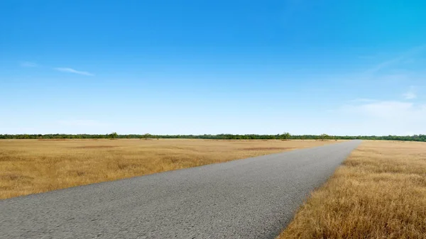 Droga Asfaltowa Zieloną Trawą Niebieskim Tle Nieba — Zdjęcie stockowe