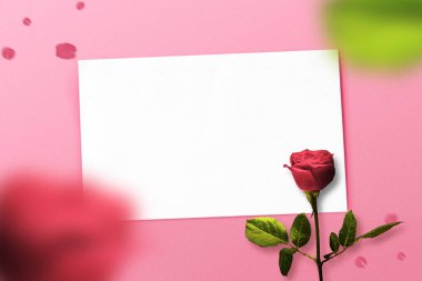 Boş beyaz kağıt ve renkli arkaplanı olan gül çiçekleri. Sevgililer Günü. Kopyalama alanı için boş boşluk