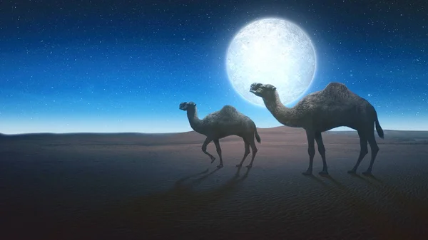 Camel crossing the desert with a night scene background