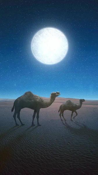 Camel crossing the desert with a night scene background