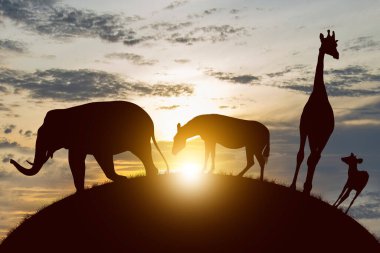 Silhouette of wildlife. World Wildlife Day