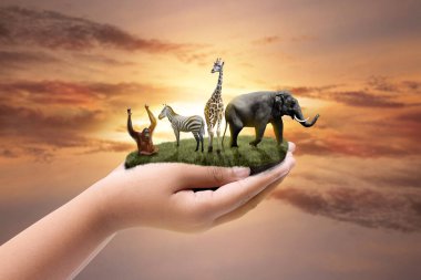 Human hand showing wildlife in nature. World Wildlife Day