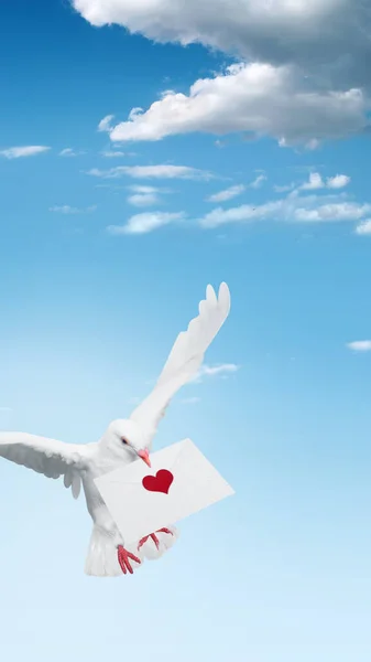 Pigeons flying with a love letter on a blue sky background. Valentine day