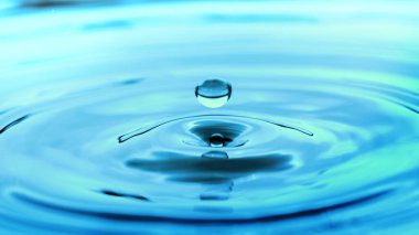 Water drop. World Water Day