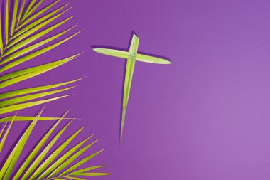 Palm leaf with a cross shape on a colored background. Palm Sunday Concept