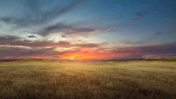 Луговое поле на фоне заката