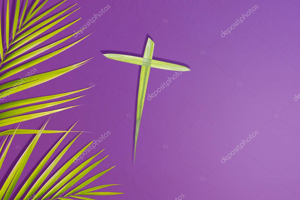 Palm leaf with a cross shape on a colored background. Palm Sunday Concept