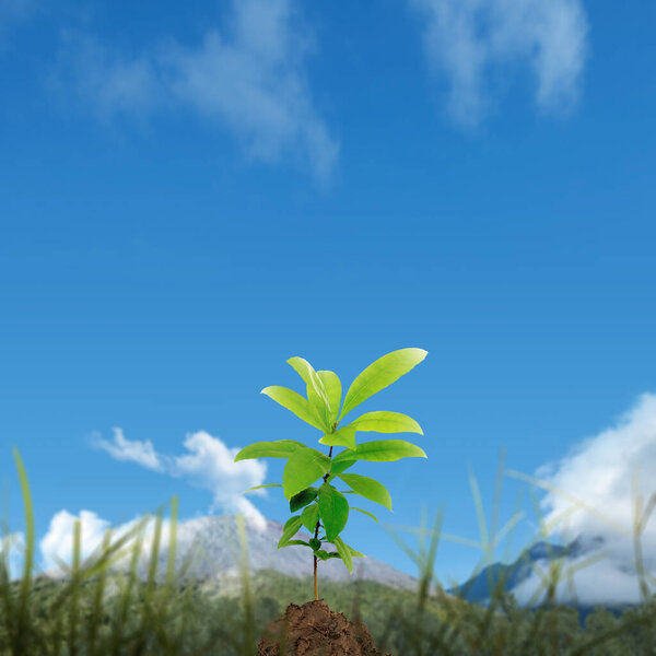 Growing leaf on the ground. Earth Day Concept