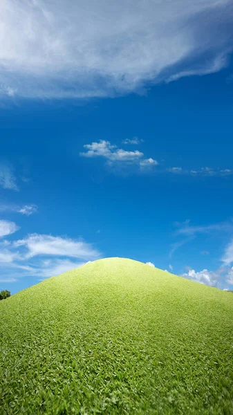 Mavi Gökyüzü Arkaplanlı Çayır Alanı — Stok fotoğraf