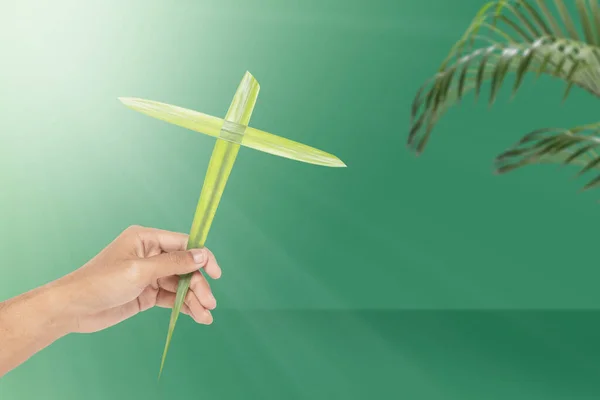 Human Hand Holding Palm Leaf Cross Shape Palm Sunday Concept — стоковое фото